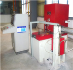 Sample Sheet Inspection Line 